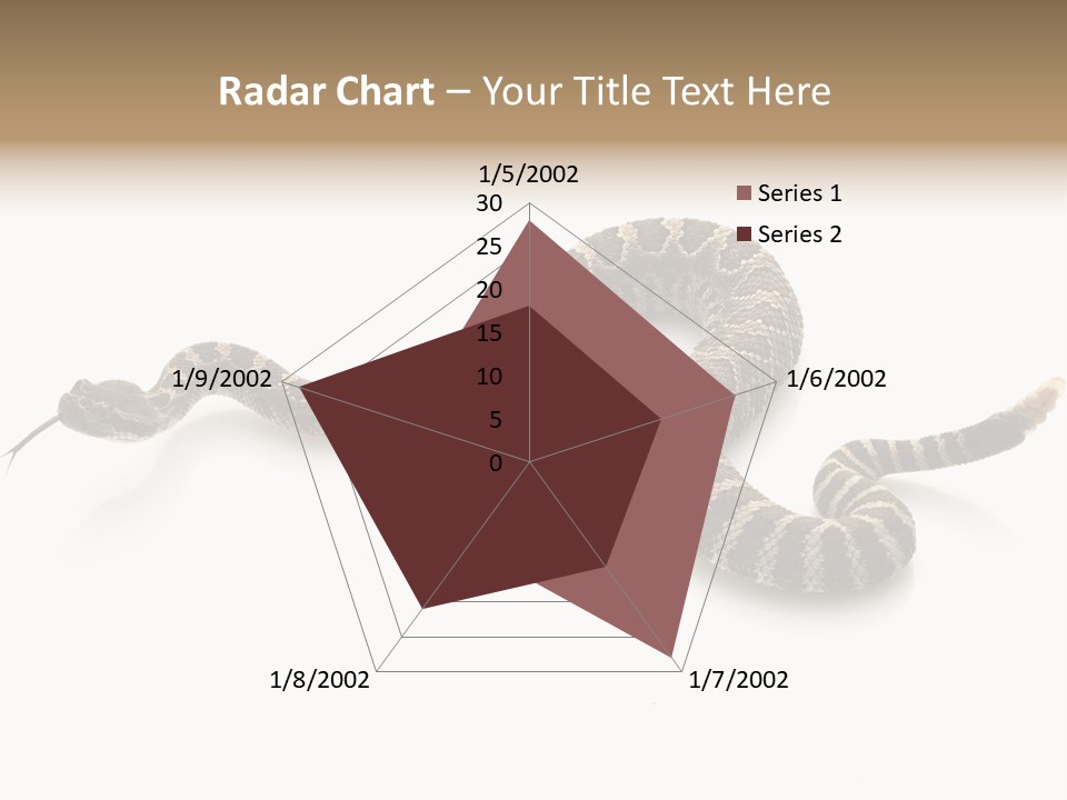 Northern Pacific Rattlesnake (Crotalus Oreganus) Isolated On White Background. PowerPoint Template