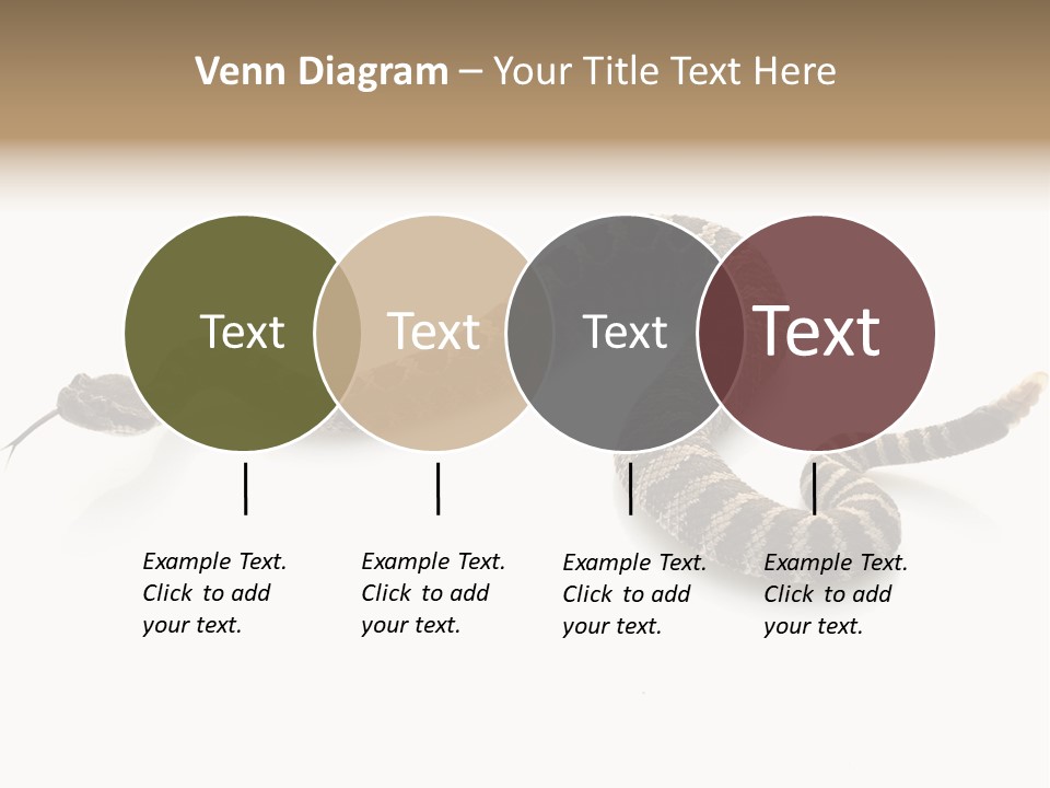 Northern Pacific Rattlesnake (Crotalus Oreganus) Isolated On White Background. PowerPoint Template