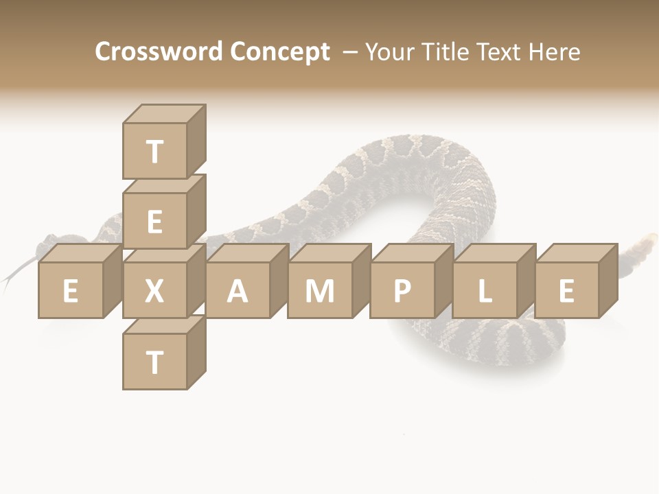 Northern Pacific Rattlesnake (Crotalus Oreganus) Isolated On White Background. PowerPoint Template