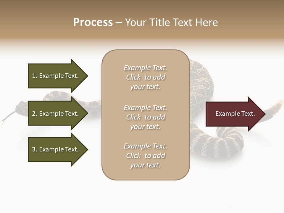 Northern Pacific Rattlesnake (Crotalus Oreganus) Isolated On White Background. PowerPoint Template