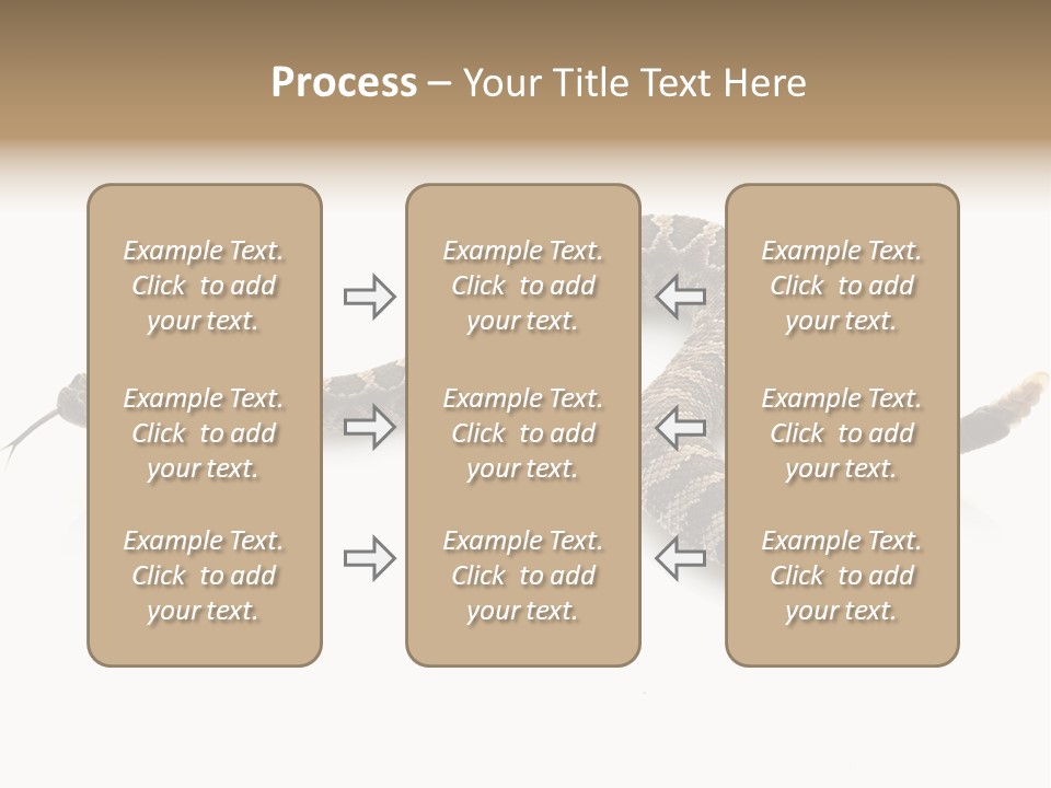 Northern Pacific Rattlesnake (Crotalus Oreganus) Isolated On White Background. PowerPoint Template