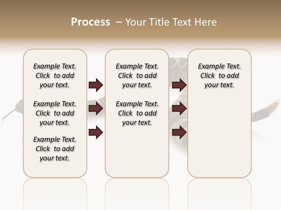 Northern Pacific Rattlesnake (Crotalus Oreganus) Isolated On White Background. PowerPoint Template