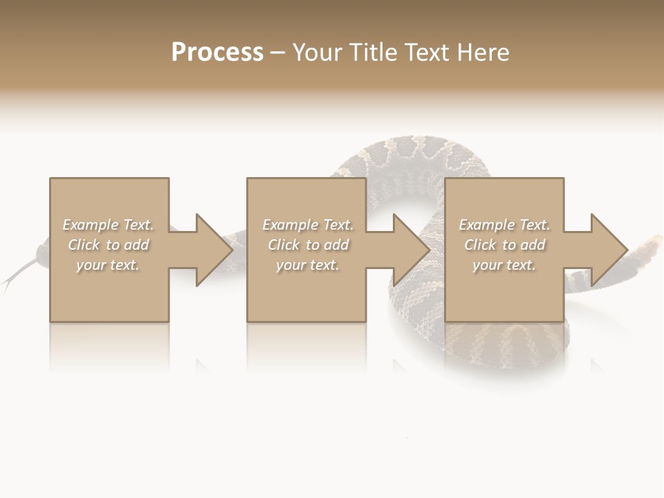 Northern Pacific Rattlesnake (Crotalus Oreganus) Isolated On White Background. PowerPoint Template