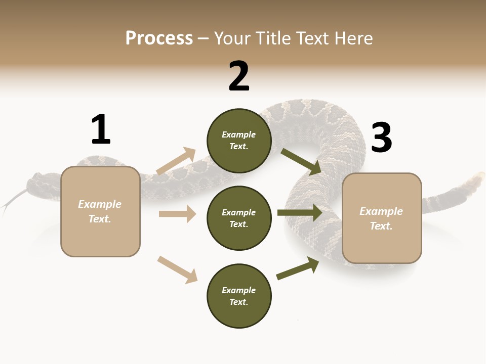 Northern Pacific Rattlesnake (Crotalus Oreganus) Isolated On White Background. PowerPoint Template