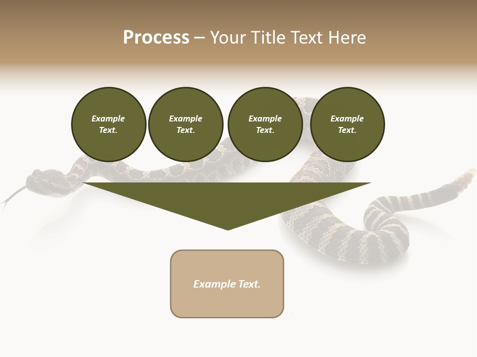 Northern Pacific Rattlesnake (Crotalus Oreganus) Isolated On White Background. PowerPoint Template