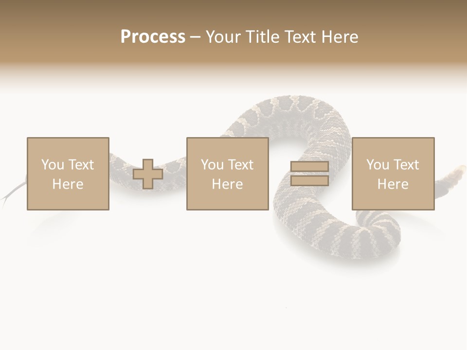 Northern Pacific Rattlesnake (Crotalus Oreganus) Isolated On White Background. PowerPoint Template