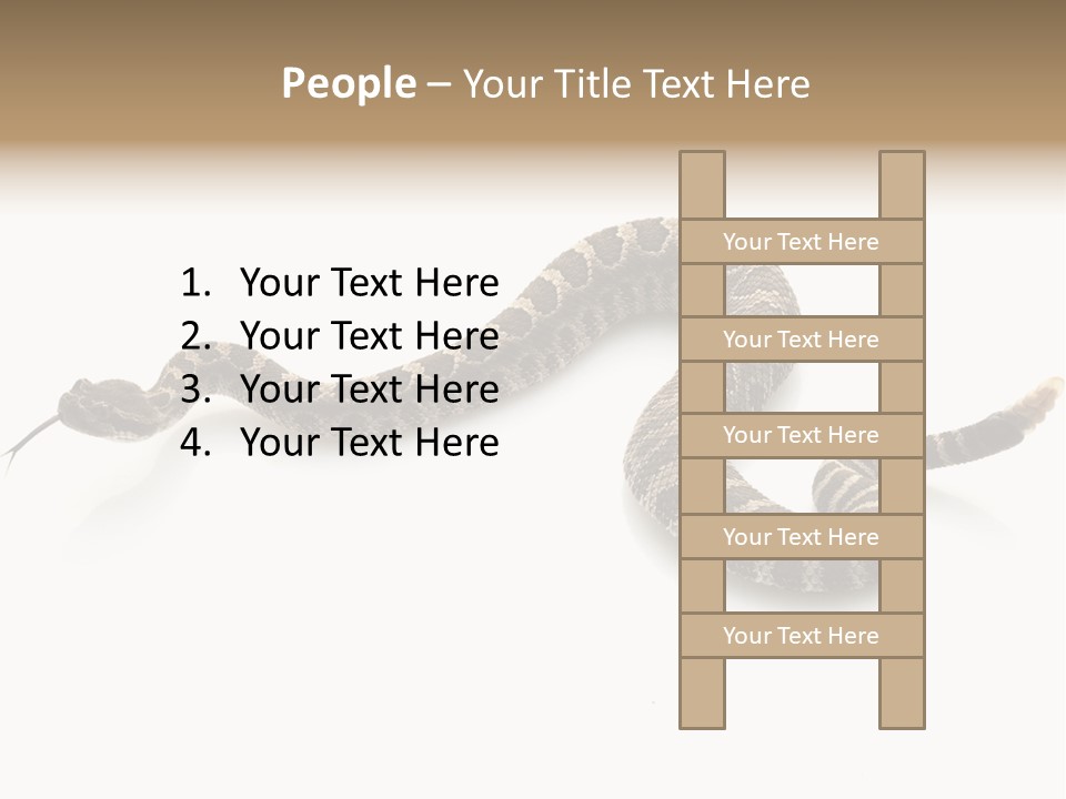 Northern Pacific Rattlesnake (Crotalus Oreganus) Isolated On White Background. PowerPoint Template