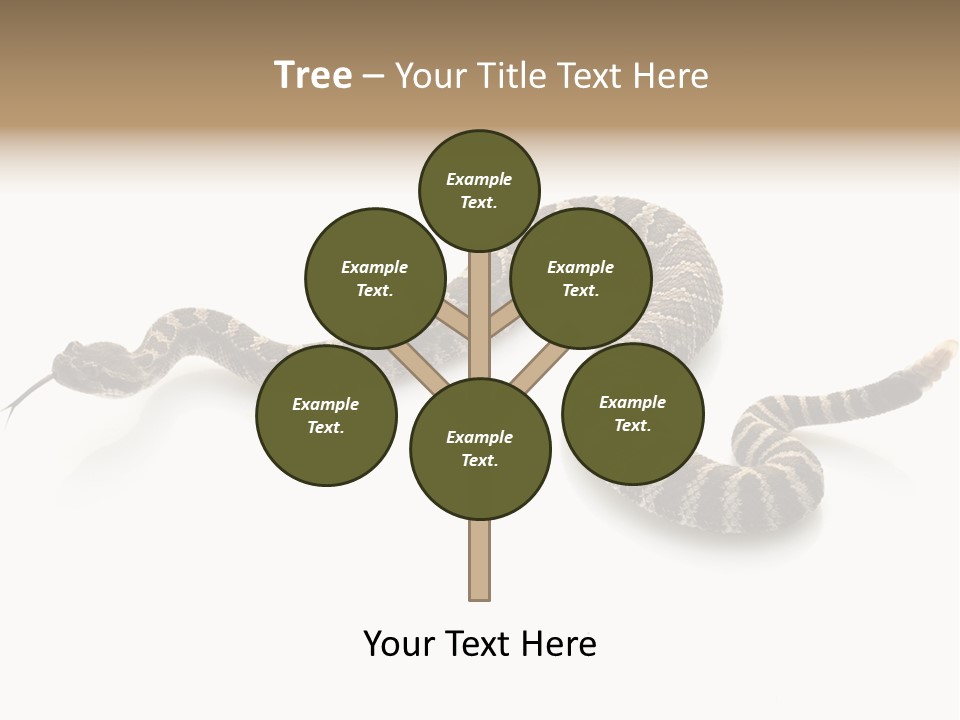 Northern Pacific Rattlesnake (Crotalus Oreganus) Isolated On White Background. PowerPoint Template