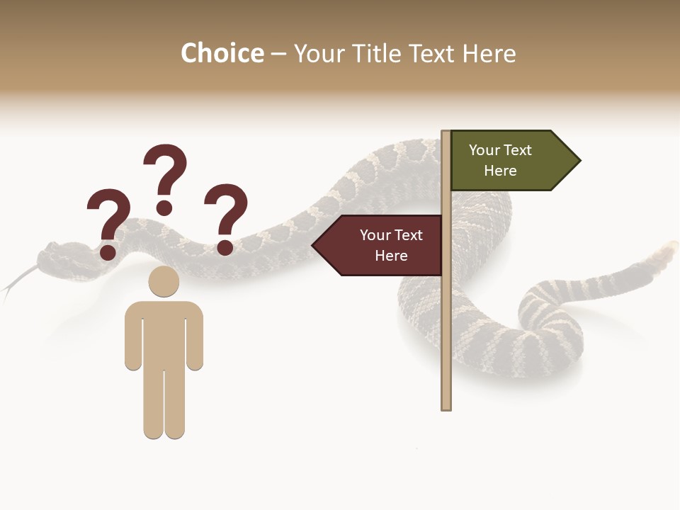 Northern Pacific Rattlesnake (Crotalus Oreganus) Isolated On White Background. PowerPoint Template