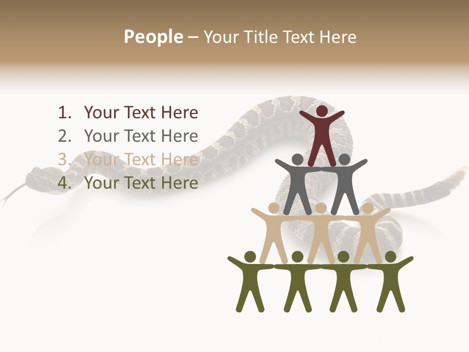 Northern Pacific Rattlesnake (Crotalus Oreganus) Isolated On White Background. PowerPoint Template