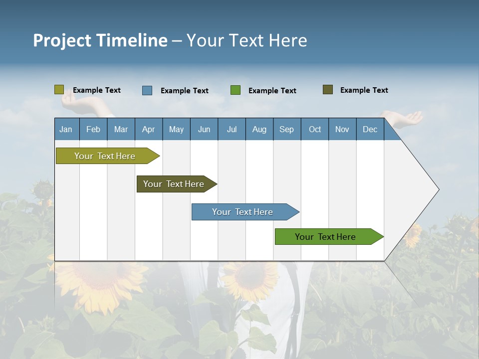 A Woman Standing In A Field Of Sunflowers PowerPoint Template