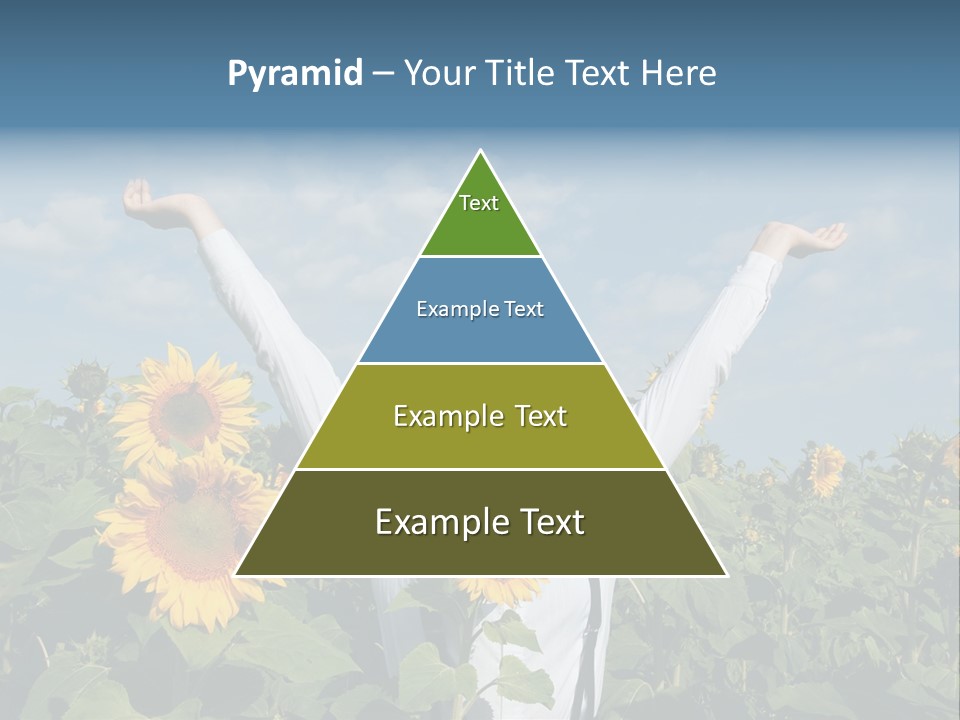 A Woman Standing In A Field Of Sunflowers PowerPoint Template