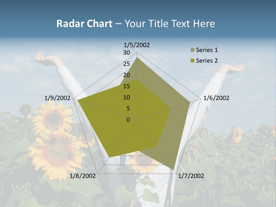 A Woman Standing In A Field Of Sunflowers PowerPoint Template