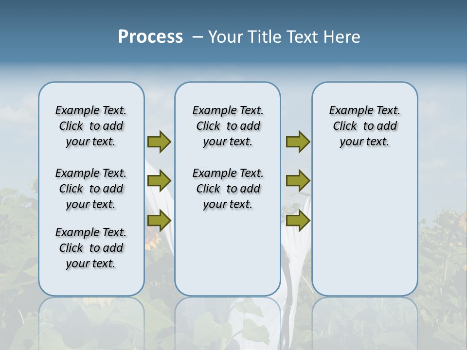 A Woman Standing In A Field Of Sunflowers PowerPoint Template