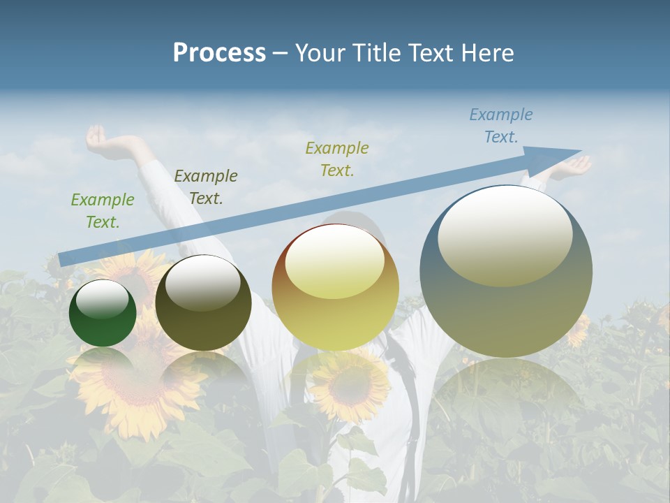 A Woman Standing In A Field Of Sunflowers PowerPoint Template