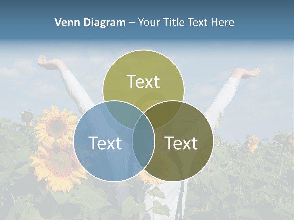 A Woman Standing In A Field Of Sunflowers PowerPoint Template