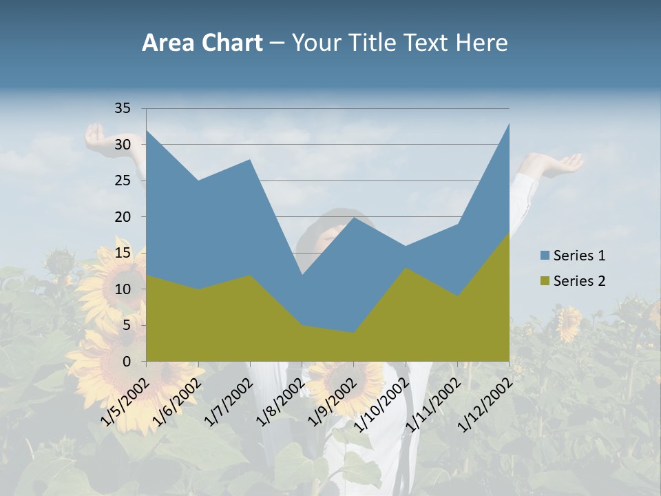 A Woman Standing In A Field Of Sunflowers PowerPoint Template