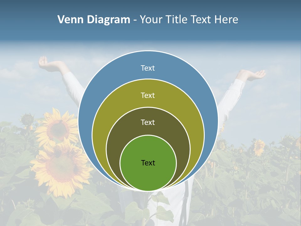 A Woman Standing In A Field Of Sunflowers PowerPoint Template