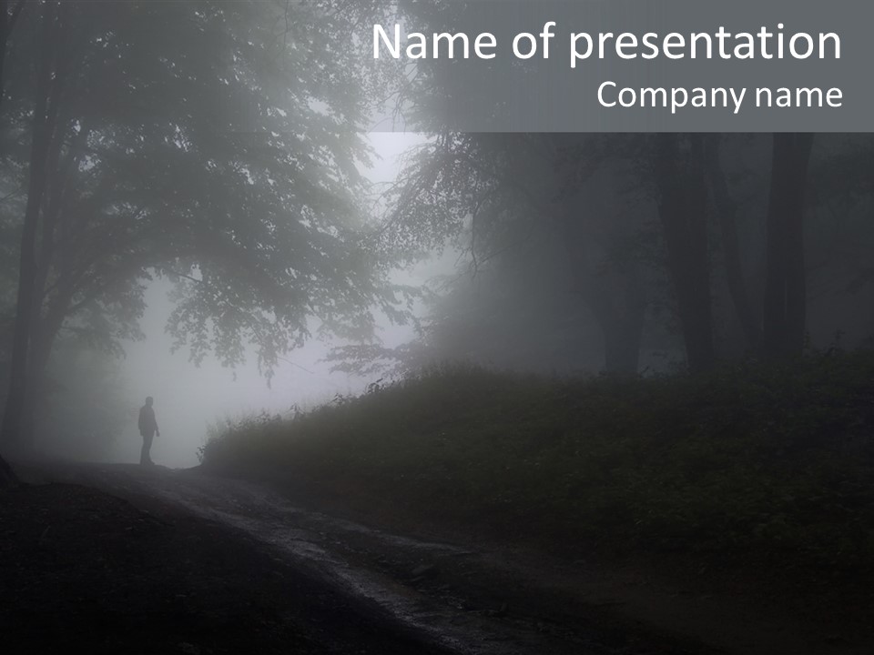 Man Standing In A Dark Forest With Fog After Rain PowerPoint Template