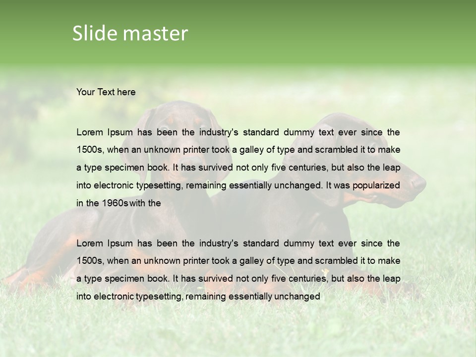 Two Young Brown Doberman Puppys PowerPoint Template