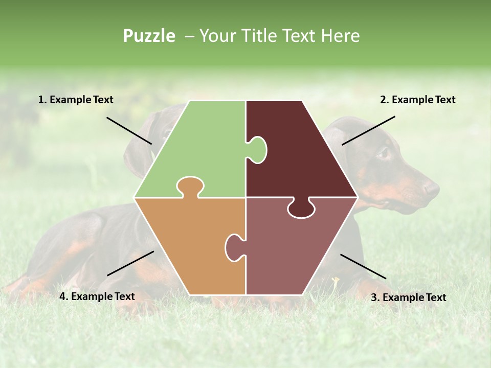 Two Young Brown Doberman Puppys PowerPoint Template