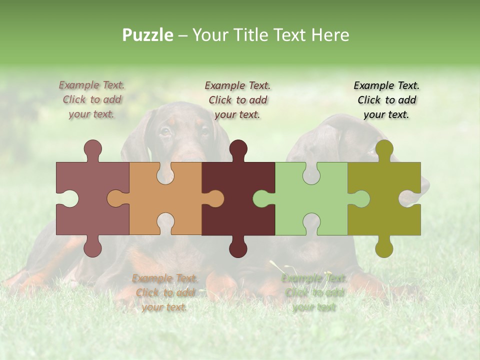 Two Young Brown Doberman Puppys PowerPoint Template