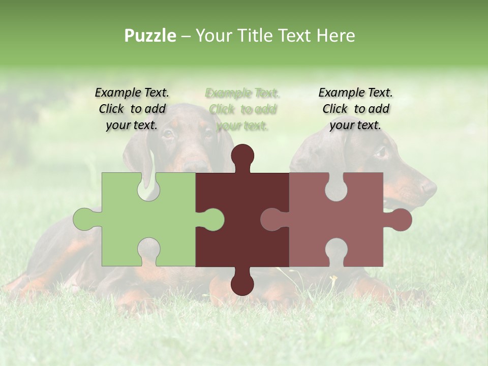 Two Young Brown Doberman Puppys PowerPoint Template