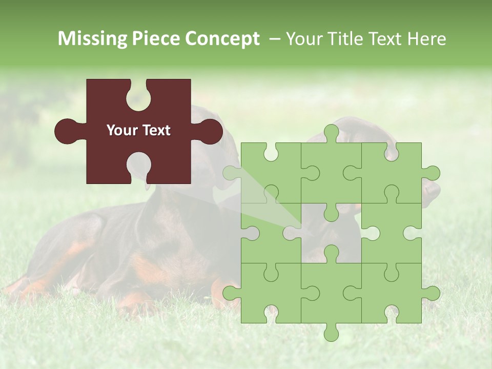 Two Young Brown Doberman Puppys PowerPoint Template