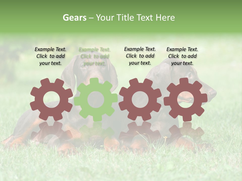 Two Young Brown Doberman Puppys PowerPoint Template