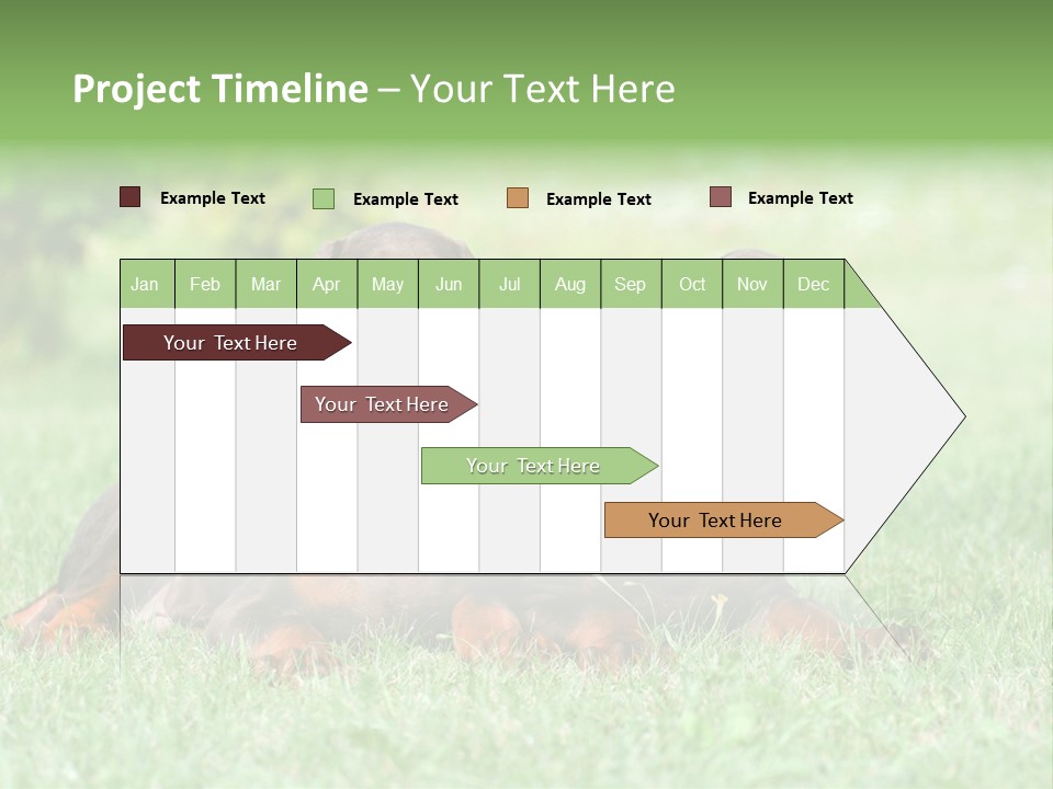 Two Young Brown Doberman Puppys PowerPoint Template