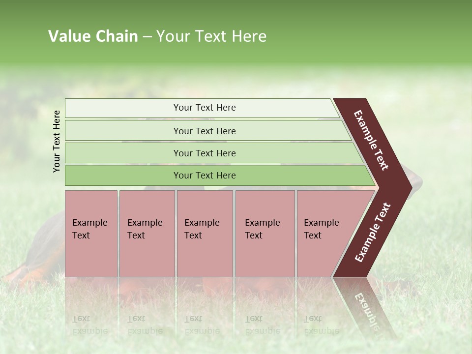 Two Young Brown Doberman Puppys PowerPoint Template