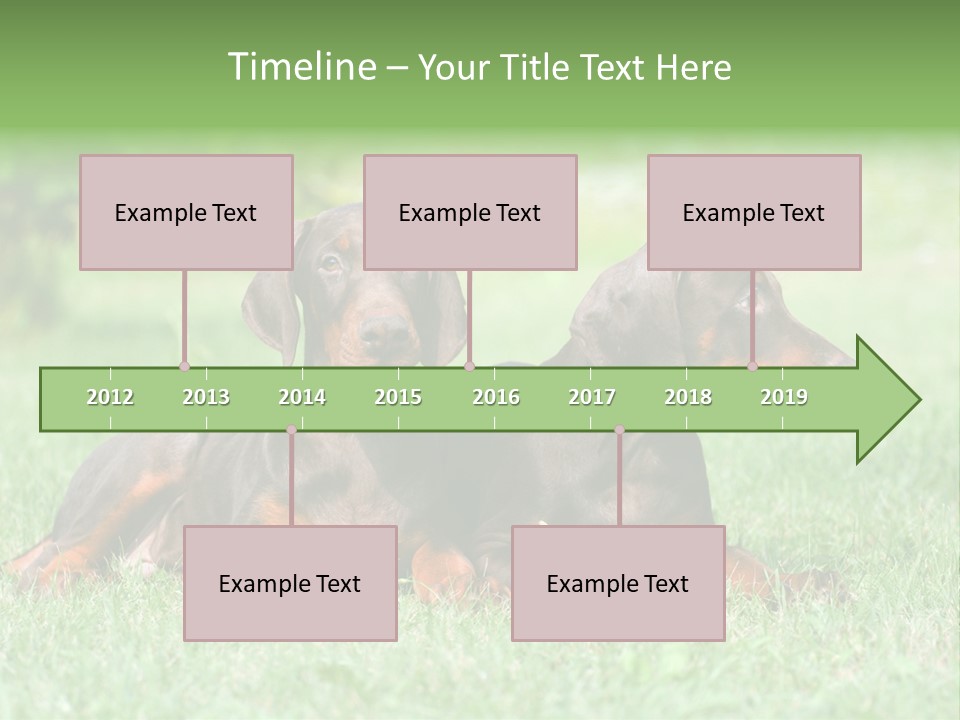 Two Young Brown Doberman Puppys PowerPoint Template