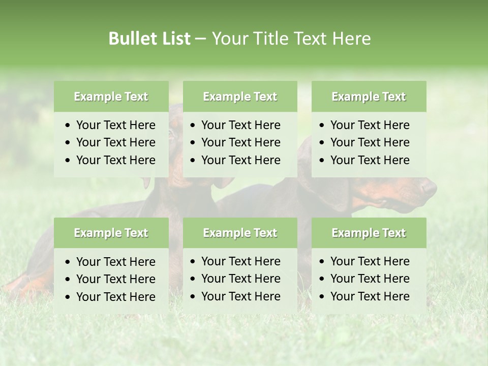 Two Young Brown Doberman Puppys PowerPoint Template