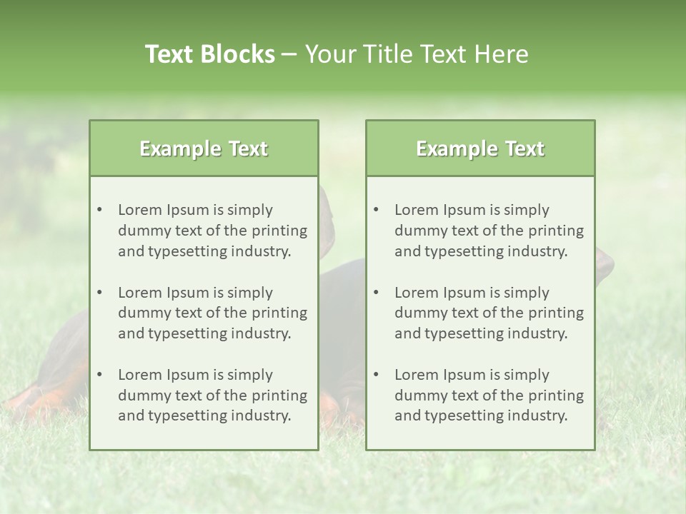 Two Young Brown Doberman Puppys PowerPoint Template