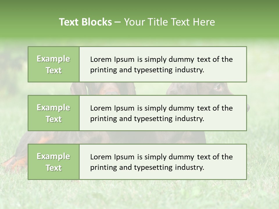 Two Young Brown Doberman Puppys PowerPoint Template