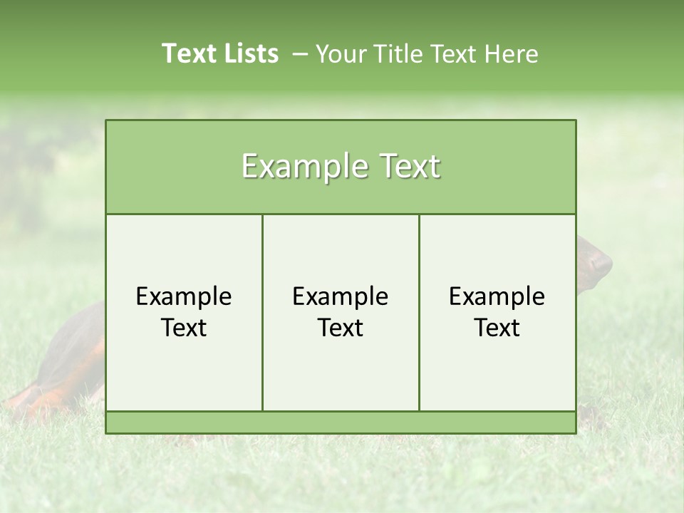 Two Young Brown Doberman Puppys PowerPoint Template