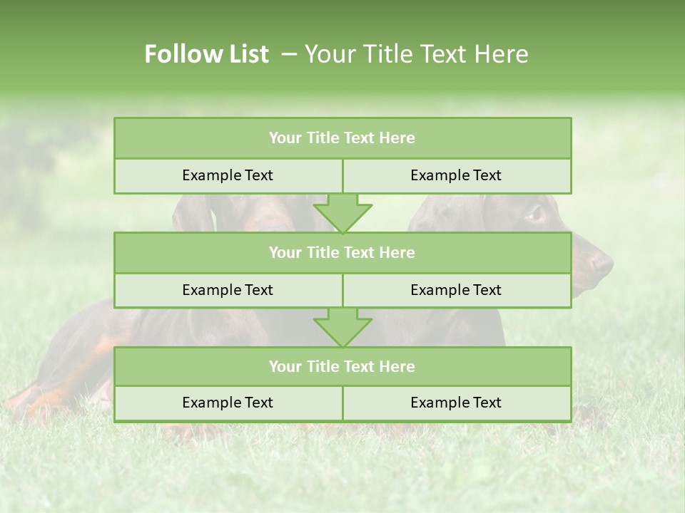 Two Young Brown Doberman Puppys PowerPoint Template