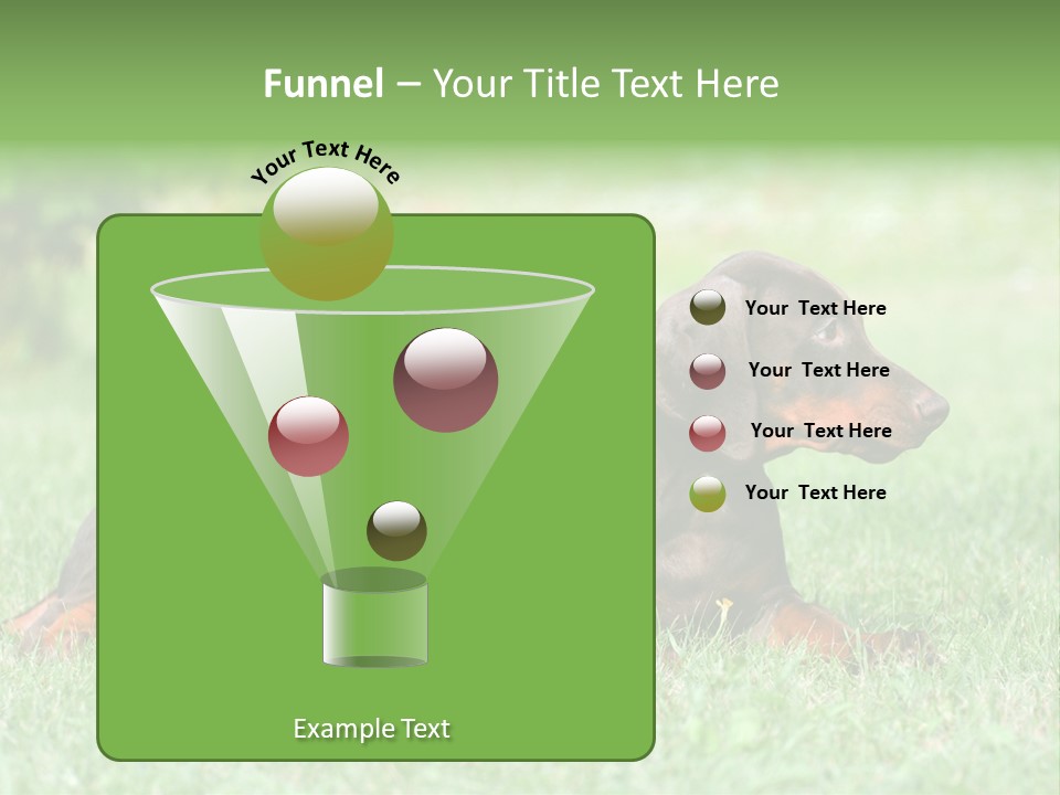 Two Young Brown Doberman Puppys PowerPoint Template