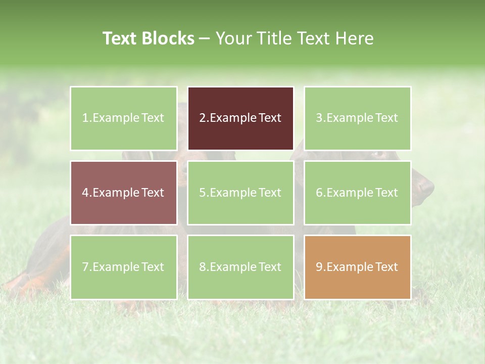 Two Young Brown Doberman Puppys PowerPoint Template