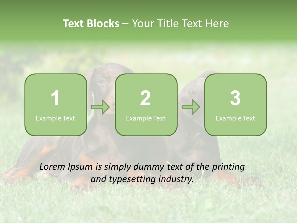 Two Young Brown Doberman Puppys PowerPoint Template