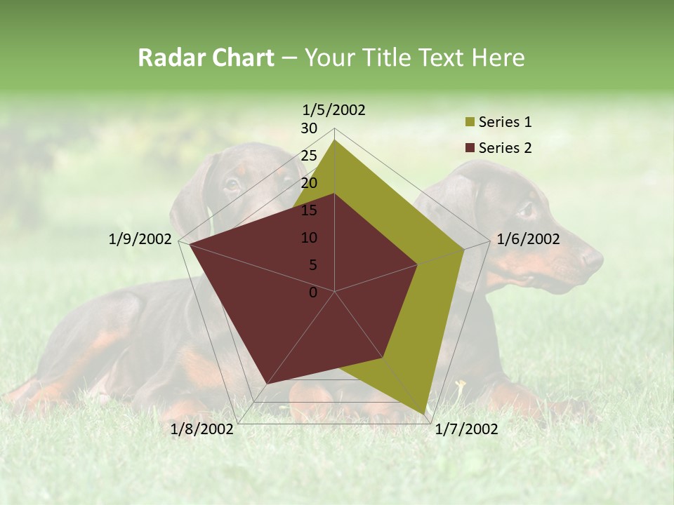 Two Young Brown Doberman Puppys PowerPoint Template