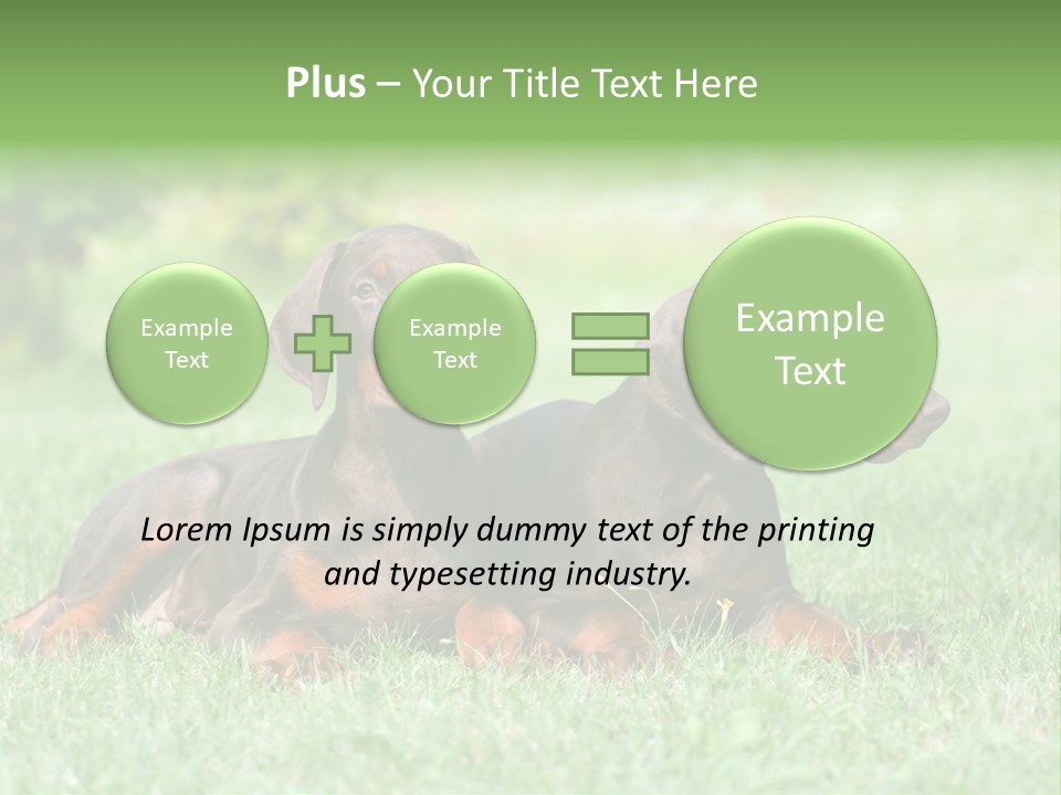 Two Young Brown Doberman Puppys PowerPoint Template