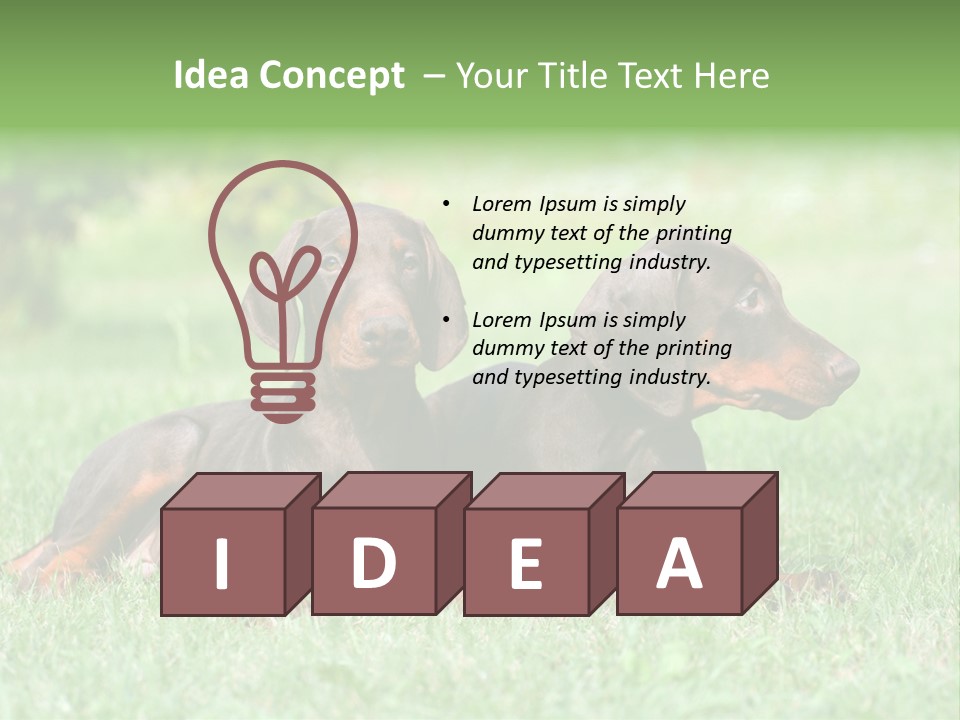 Two Young Brown Doberman Puppys PowerPoint Template