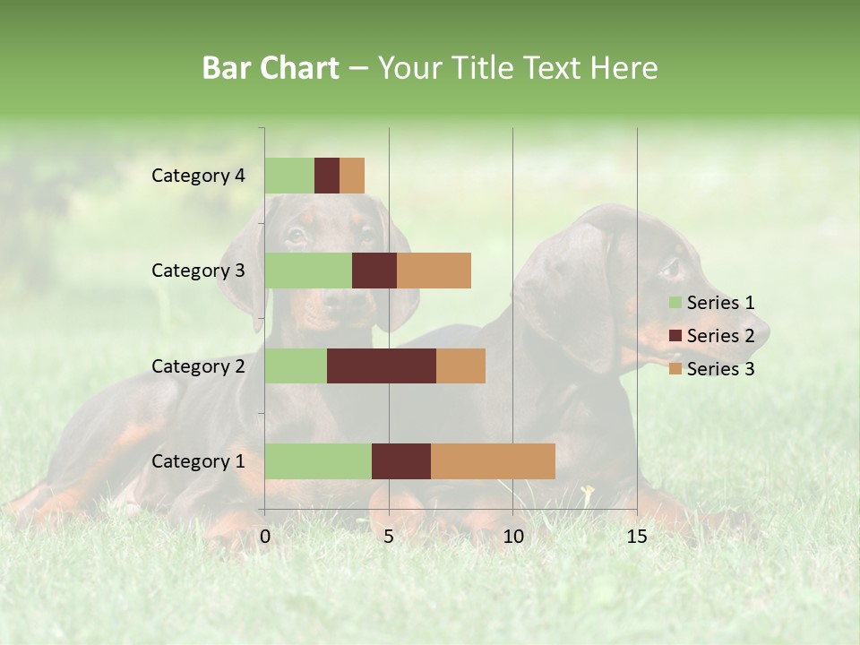 Two Young Brown Doberman Puppys PowerPoint Template