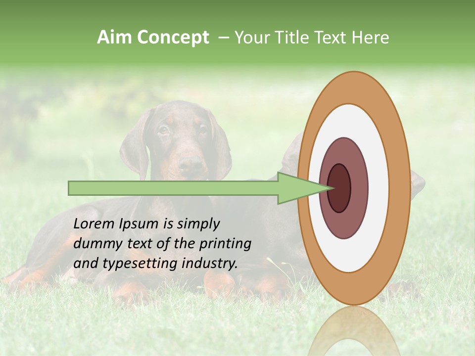 Two Young Brown Doberman Puppys PowerPoint Template