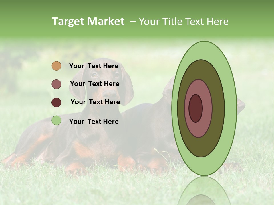 Two Young Brown Doberman Puppys PowerPoint Template