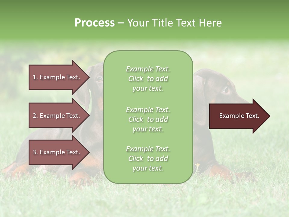 Two Young Brown Doberman Puppys PowerPoint Template