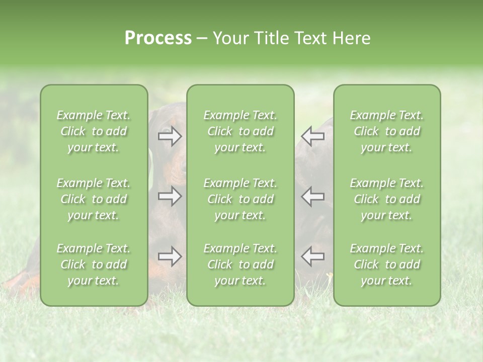 Two Young Brown Doberman Puppys PowerPoint Template