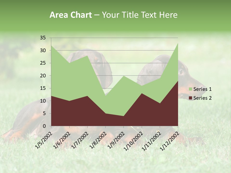 Two Young Brown Doberman Puppys PowerPoint Template