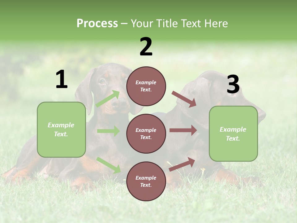 Two Young Brown Doberman Puppys PowerPoint Template